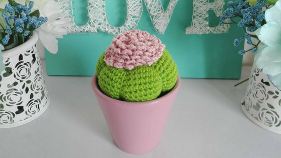 Cactus tejido en amigurumi con flor